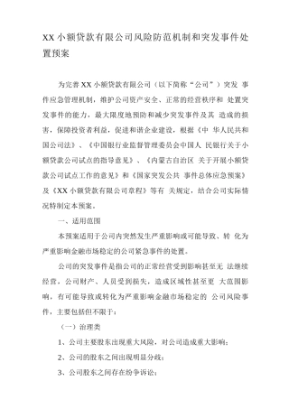 小额贷款有限公司风险防范机制和突发事-件处置预案