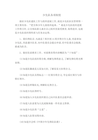 少先队各项制度