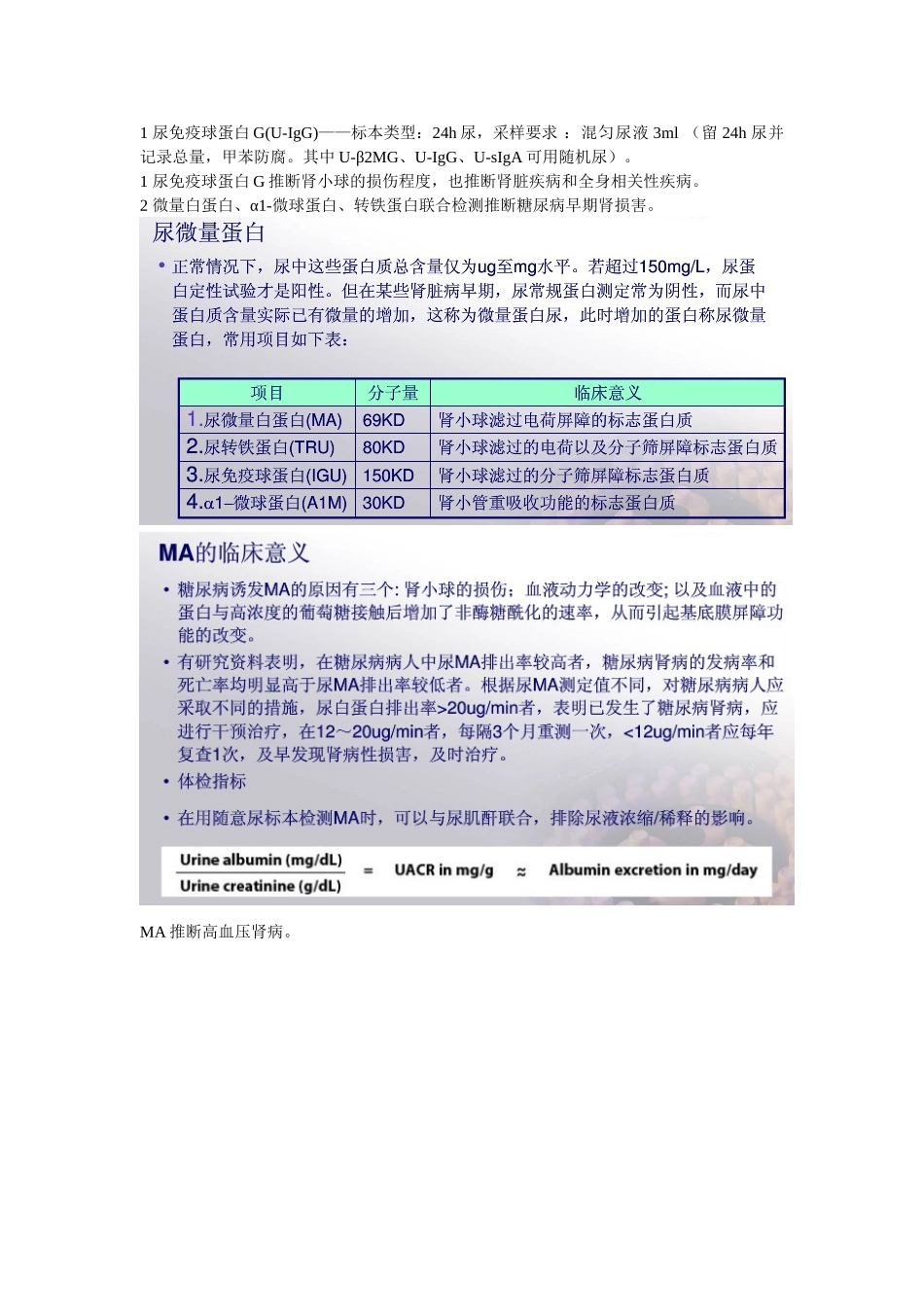 尿肾功四项临床意义_第1页