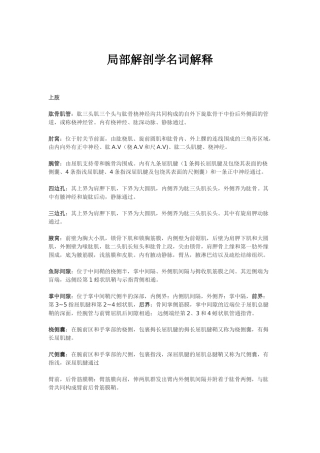 局部解剖学名词解释