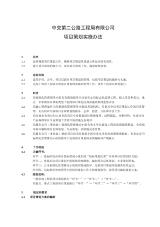 局项目策划实施办法