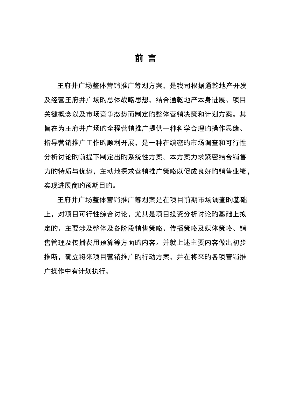 山东淄博王府进广场营销推广策划案模板_第2页