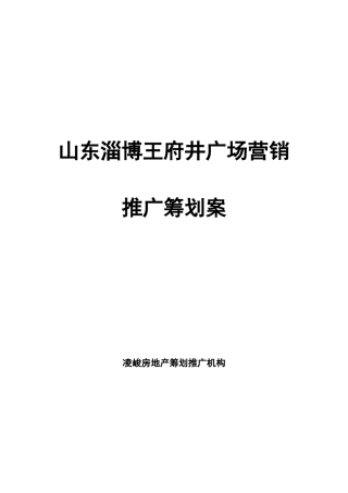 山东淄博王府进广场营销推广策划案模板