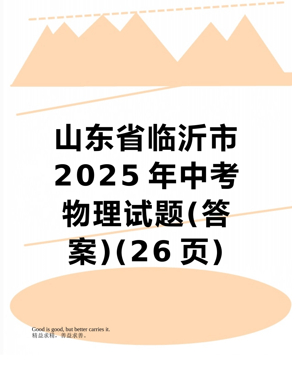 山东省临沂市2025年中考物理试题_第1页