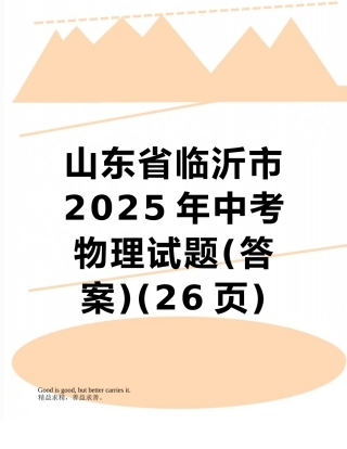 山东省临沂市2025年中考物理试题