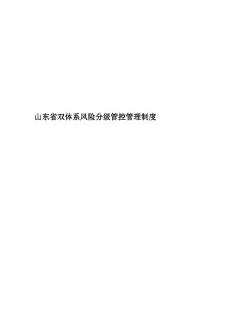 山东省双体系风险分级管控管理制度
