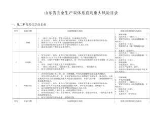 山东省安全生产双体
