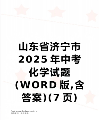 山东省济宁市2025年中考化学试题