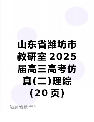 山东省潍坊市教研室2025届高三高考仿真理综