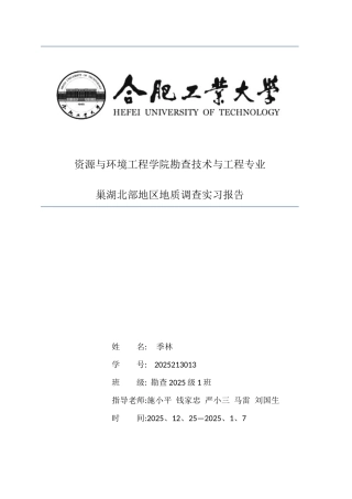 巢湖地区地质调查报告 最终版