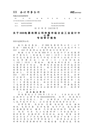 工业设计审计报告
