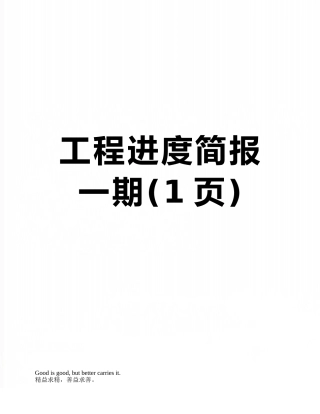 工程进度简报一期