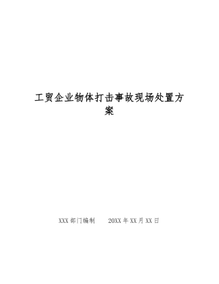 工贸企业物体打击事故现场处置方案