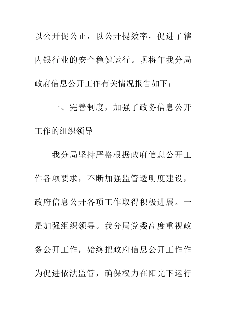 市区银监局年度工作汇报_第2页