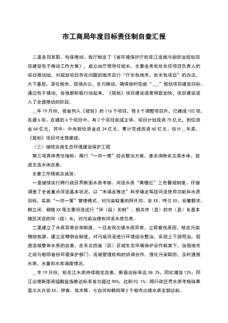市工商局年度目标责任制自查汇报