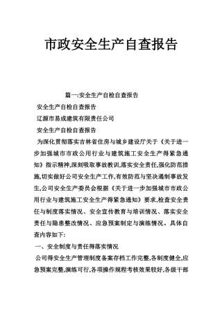 市政安全生产自查报告