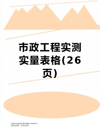 市政工程实测实量表格