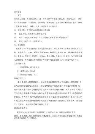 市政道路实习报告全