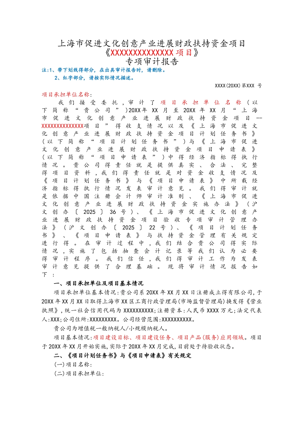 市文创项目专项审计报告参考模版_第2页