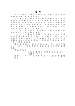市文创项目专项审计报告参考模版
