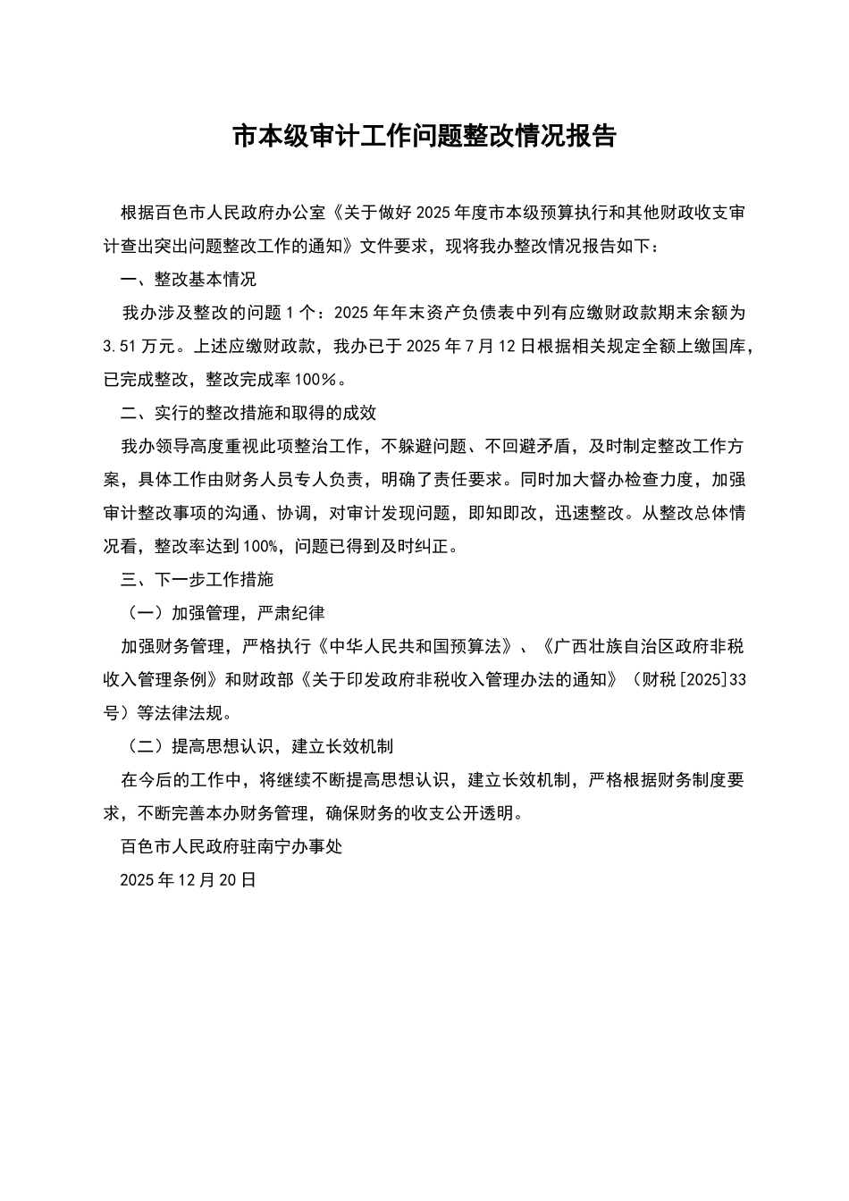 市本级审计工作问题整改情况报告_第1页