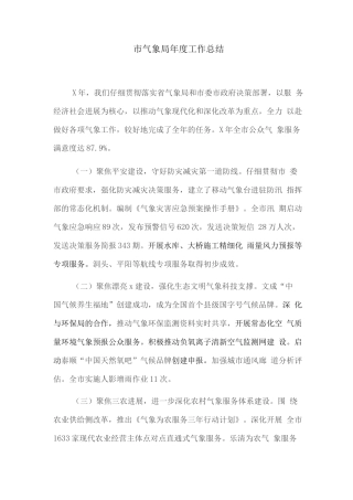 市气象局年度工作总结