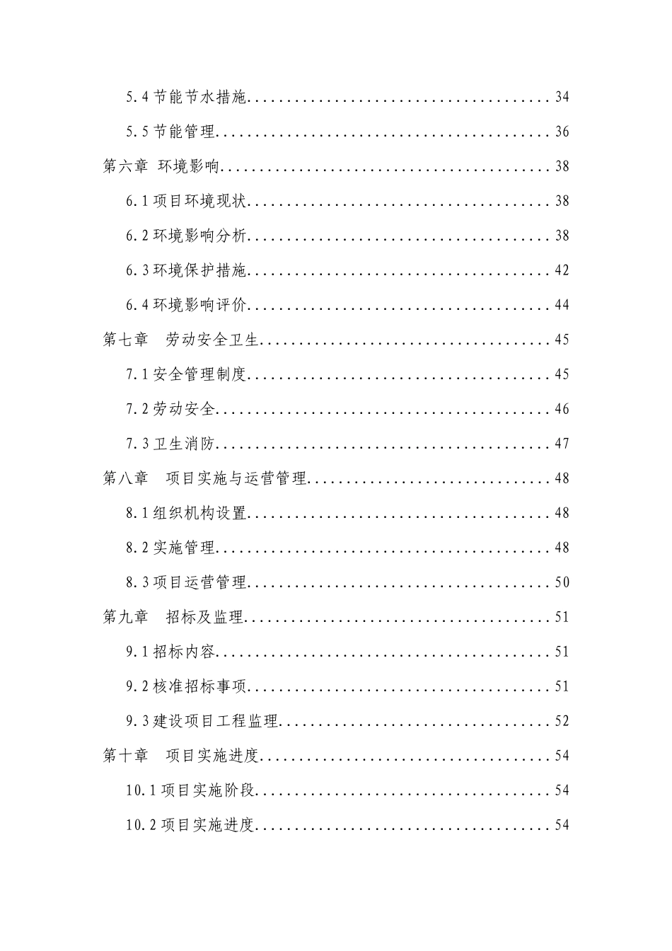 市路灯照明工程项目可行性研究报告_第2页