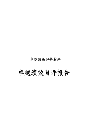 市长质量奖卓越绩效自评报告