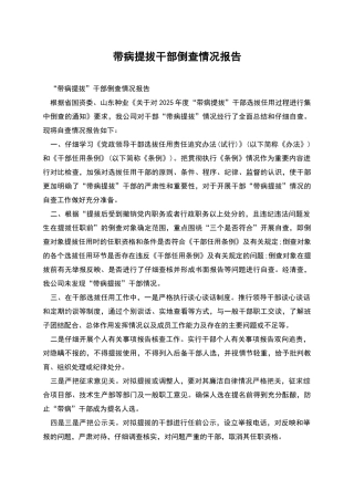 带病提拔干部倒查情况报告