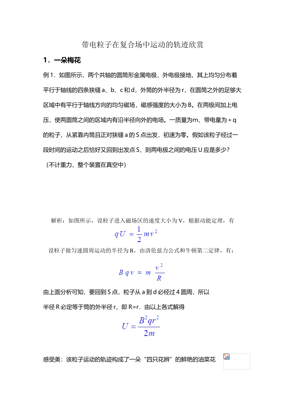 带电粒子在磁场中运动的轨迹欣赏_第2页