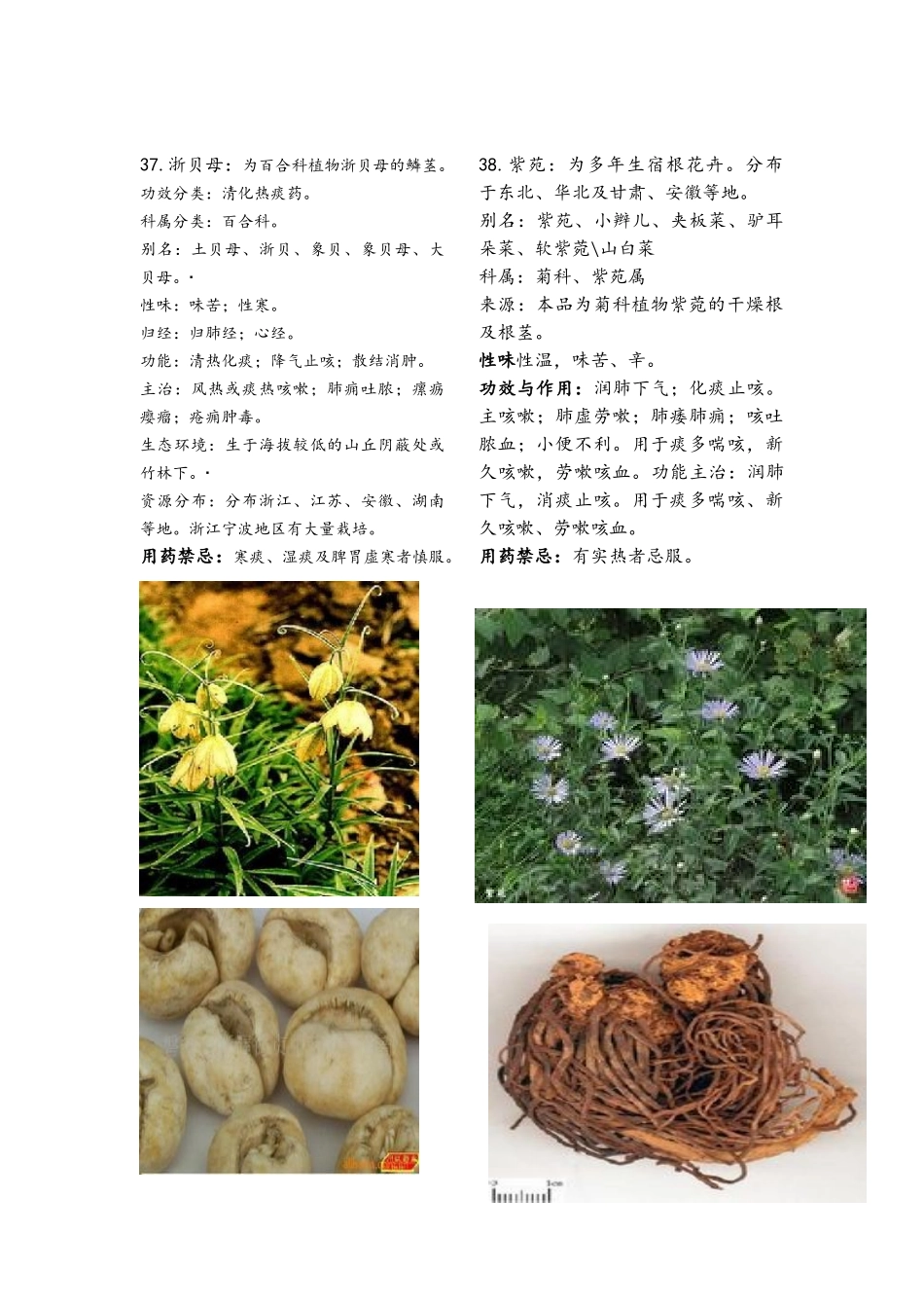 常用中药大全_第2页