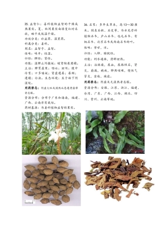 常用中药大全