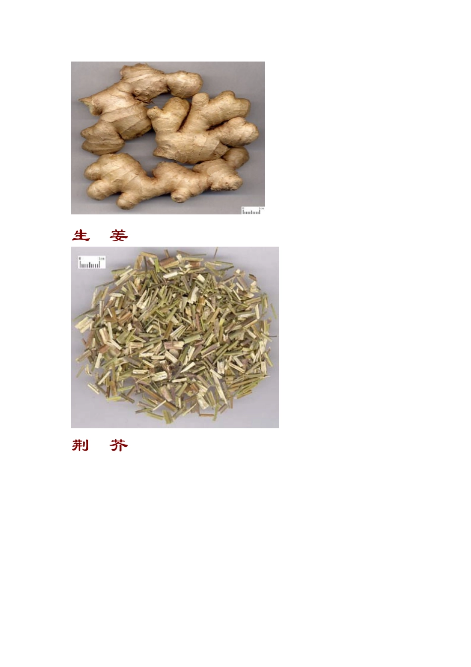 常用中药彩色图谱与鉴定_第3页