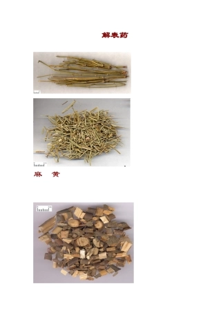 常用中药彩色图谱与鉴定