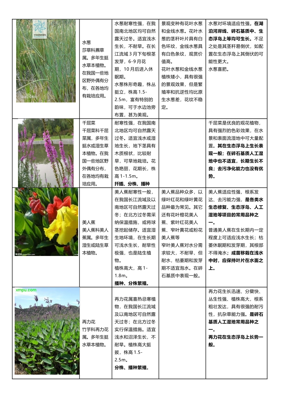 常用水生植物种类汇总_第3页