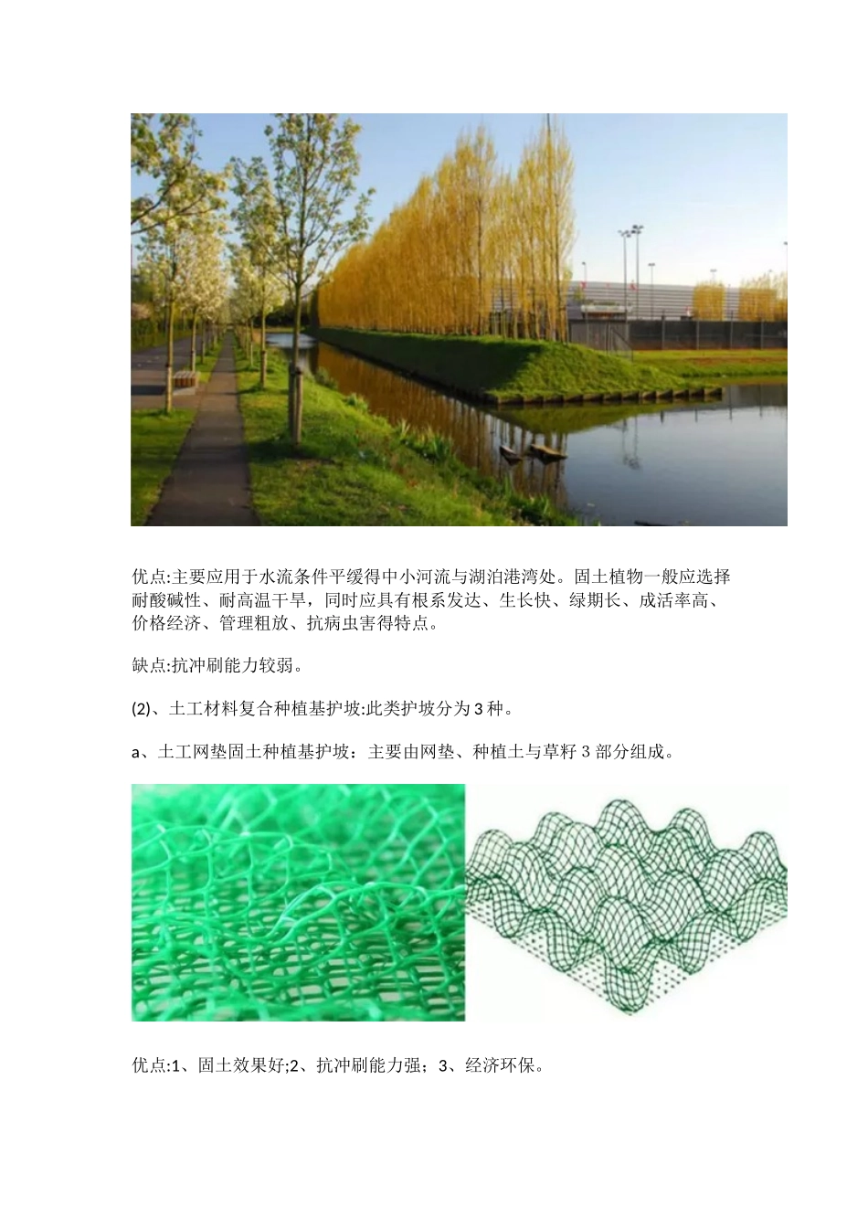 常用河道生态护坡形式_第2页