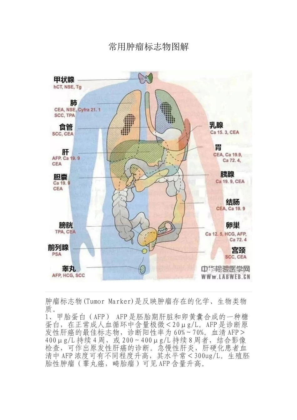 常用肿瘤标志物图解_第1页