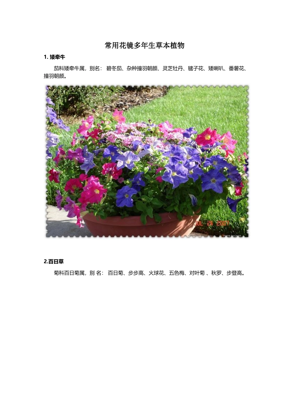 常用花镜多年生草本植物_第2页