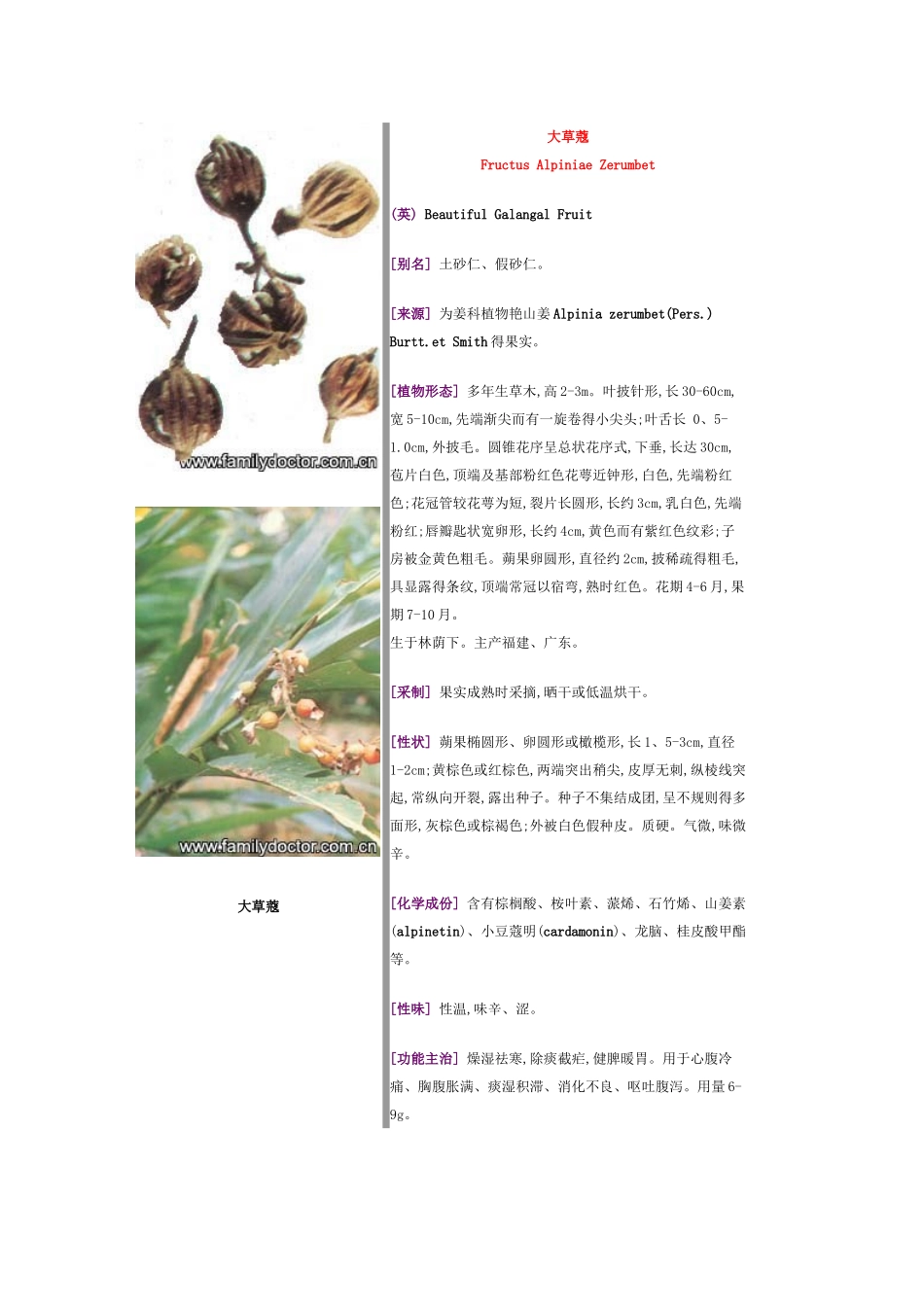 常见中草药—果实类_第1页