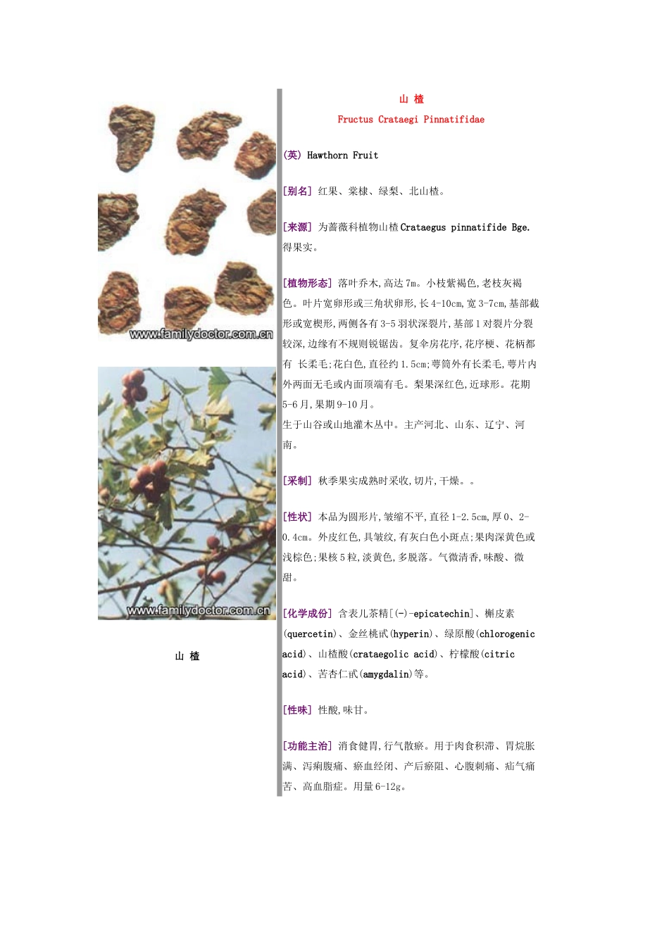 常见中草药—果实类_第2页