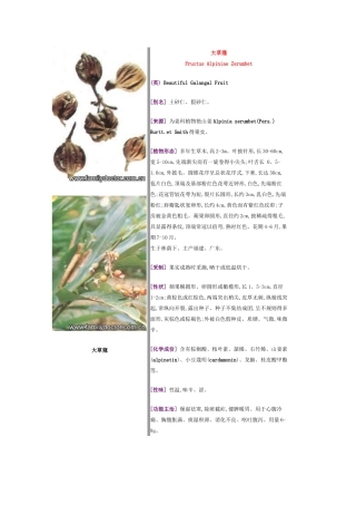 常见中草药—果实类