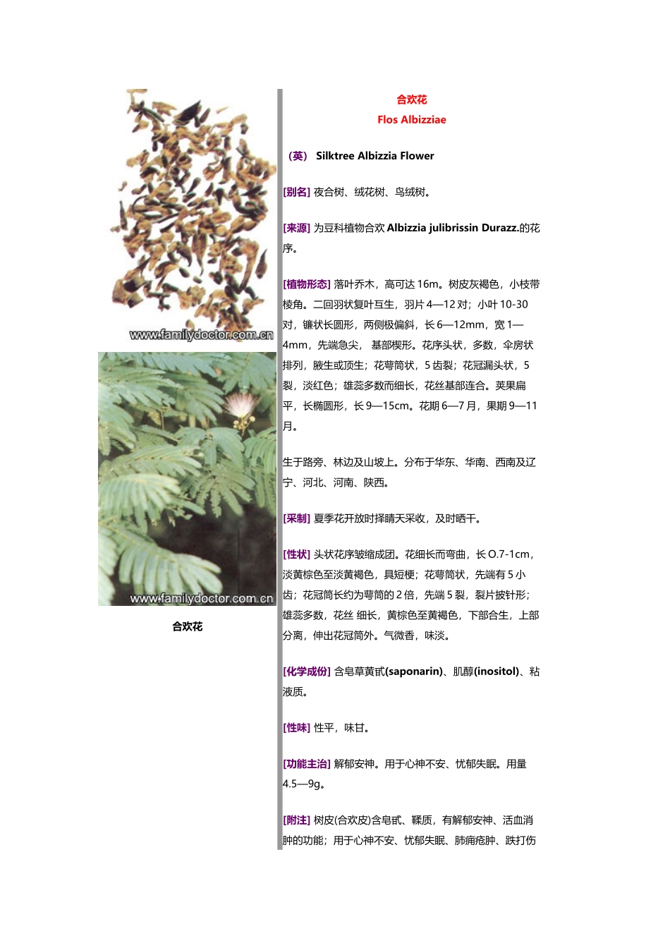 常见中草药—花类_第3页