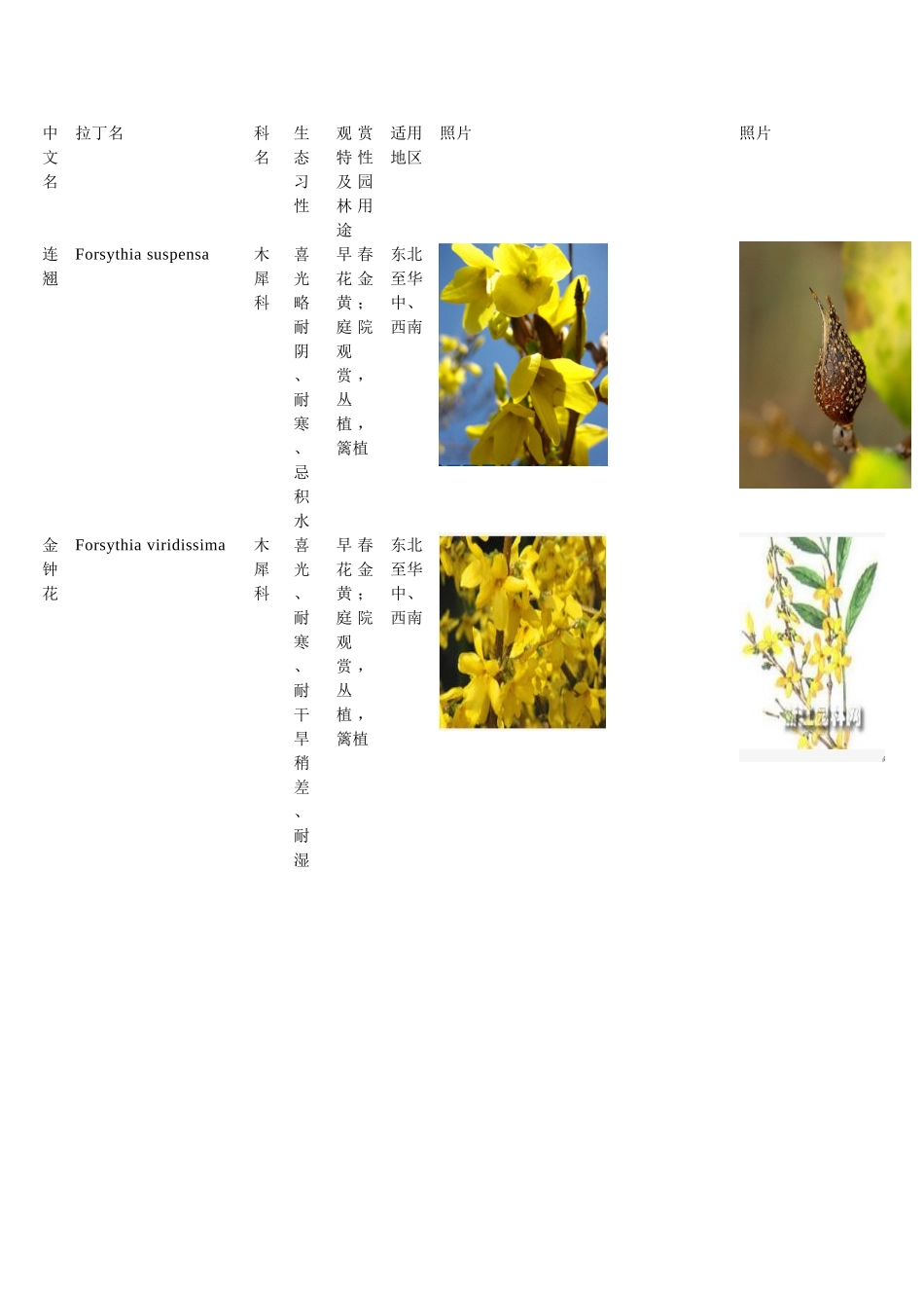 常见植物图片和简介_第1页