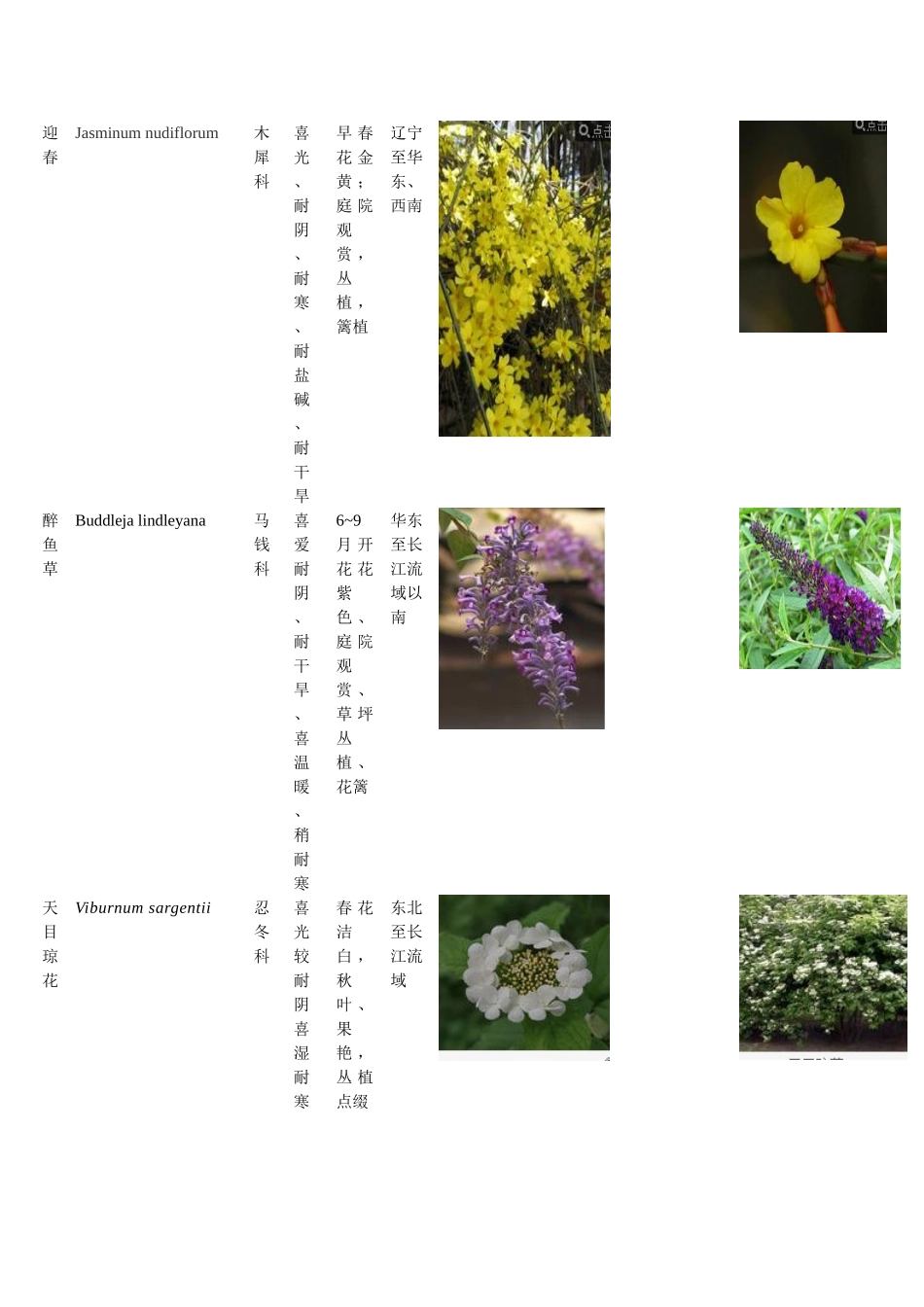 常见植物图片和简介_第2页