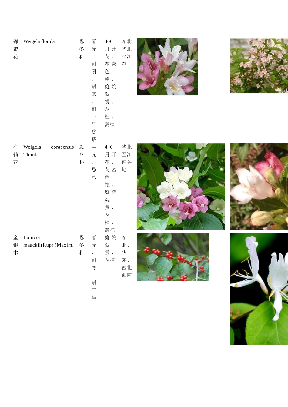 常见植物图片和简介_第3页