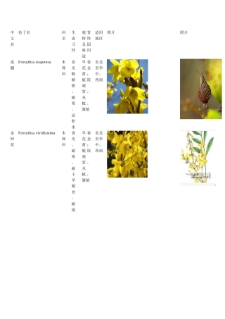 常见植物图片和简介