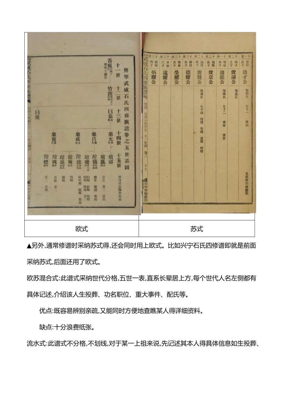 常见的族谱格式_第2页