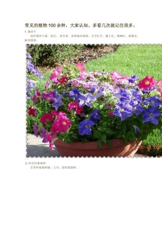 常见的植物100余种