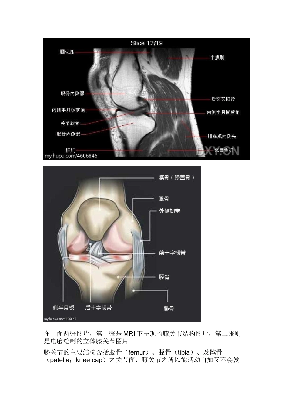 常见膝关节运动损伤病因症状以及治疗和预防_第3页