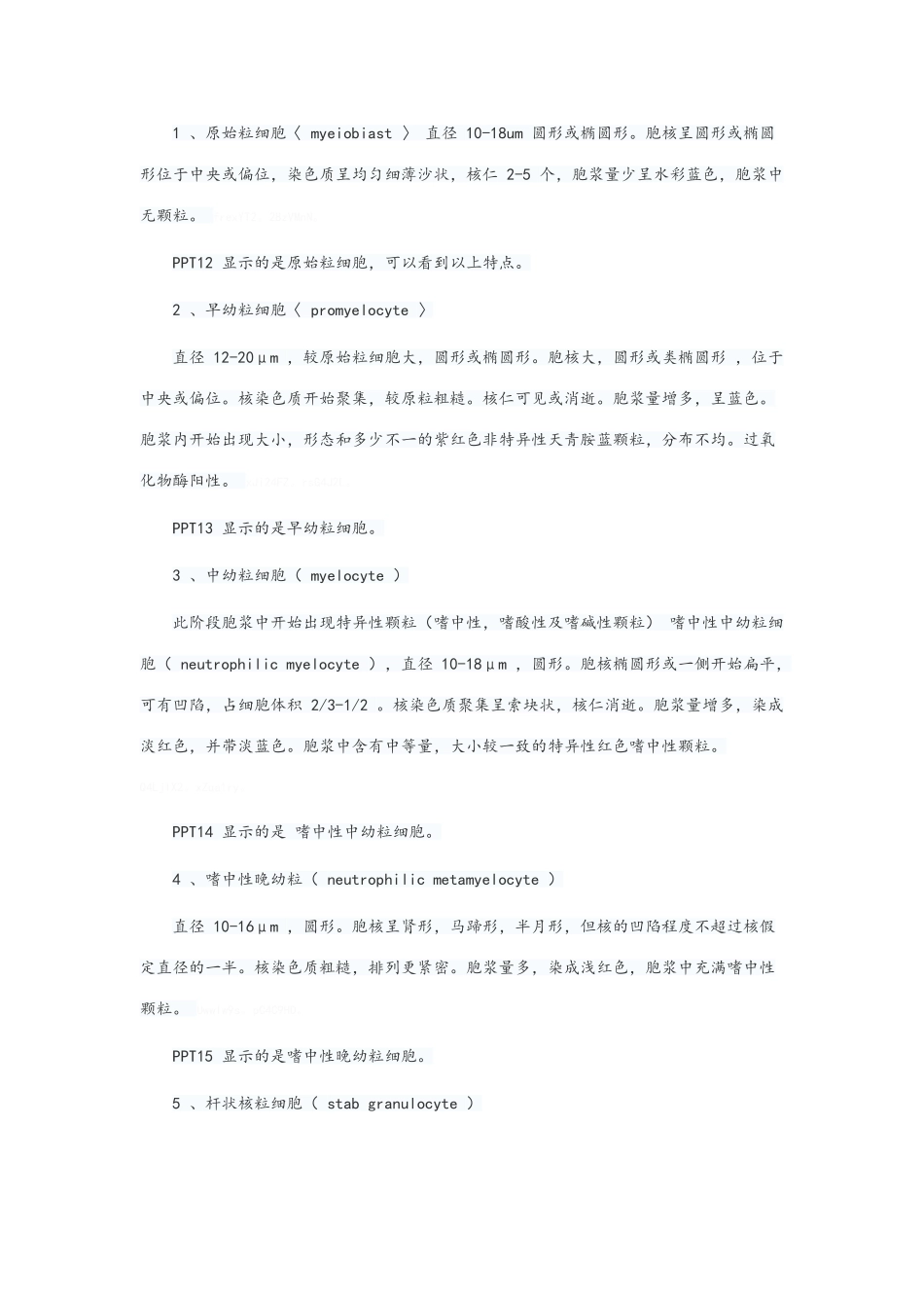 常见血液病的实验室检查及应用_第3页